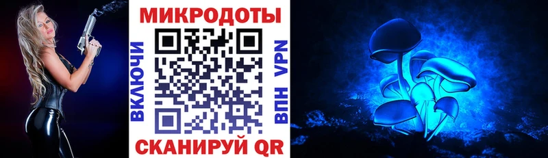 Галлюциногенные грибы Psilocybe  сайты даркнета формула  Ногинск 