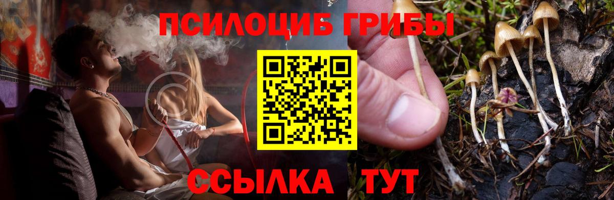 Галлюциногенные грибы MAGIC MUSHROOMS  Ногинск  Галлюциногенные грибы Psilocybe 